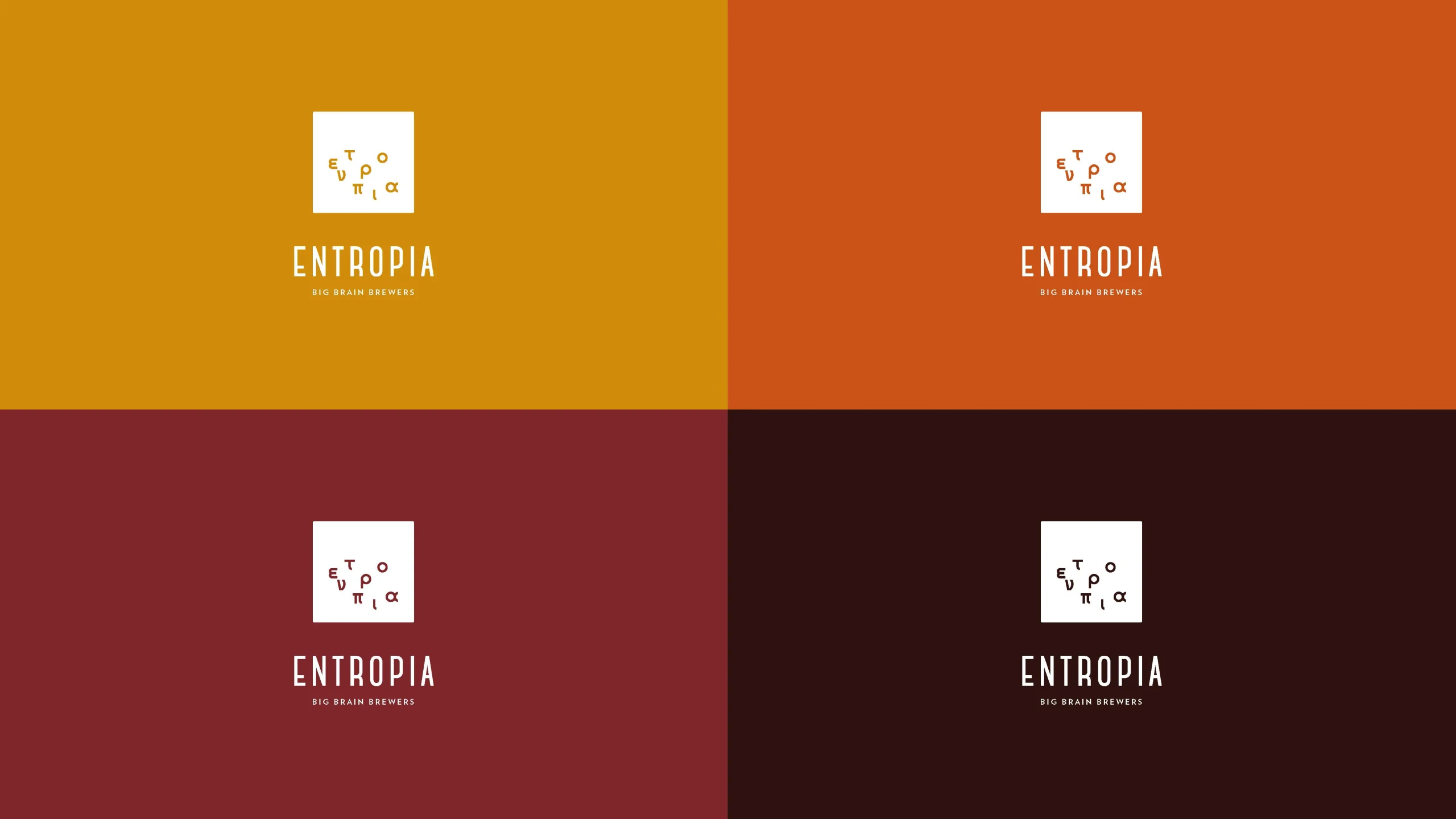 Concept logo Entropia, Proposte creative logo Entropia, Costruzione del nuovo logo Entropia, Colori e dettagli logo Entropia, Risultati finali logo Entropia